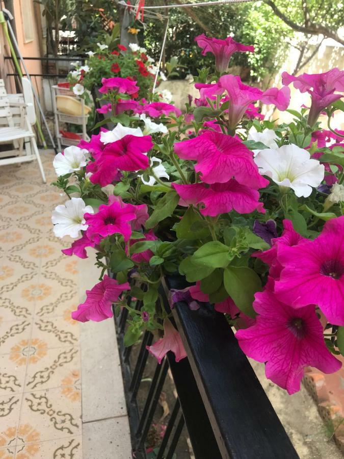 Simple And Very Nice Olbia Ngoại thất bức ảnh